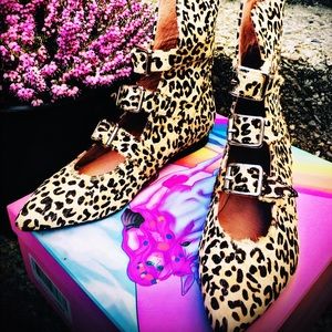 Jeffrey Campbell Shoes